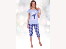 Домашний костюм футболка + бриджи 803б