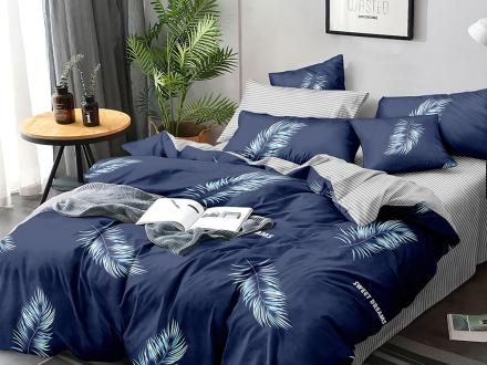 ПР-321 КПБ Райтекс Поплин 1,5 спальный (100%хлопок) 150*210 НА МОЛНИИ