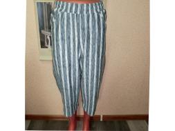 Бриджи арт.927