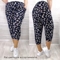 Бриджи трикотажные Великан цветные