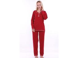 Домашний костюм футболка с длинным рукавом + брюки 54011 ВВ