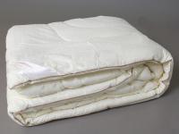 Одеяло Эвкалипт теплое, стеганый чехол, хлопок 100%, 200х220 200(ОЭВ)-02