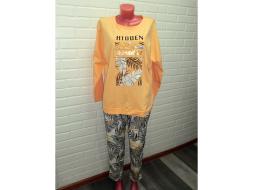 Домашний костюм футболка длинный рукав+брюки П-311