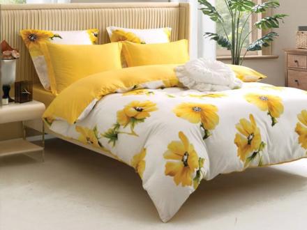 Сайлид 2,0 сп. КПБ В236